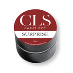 CLS Paint Pot - Surprise